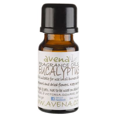 Eucalyptus Fragrance Oil